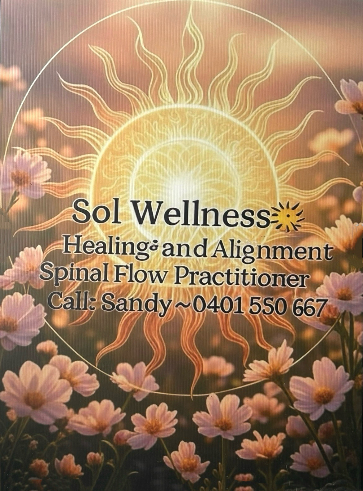 Sol Wellness * Healing & Alignment